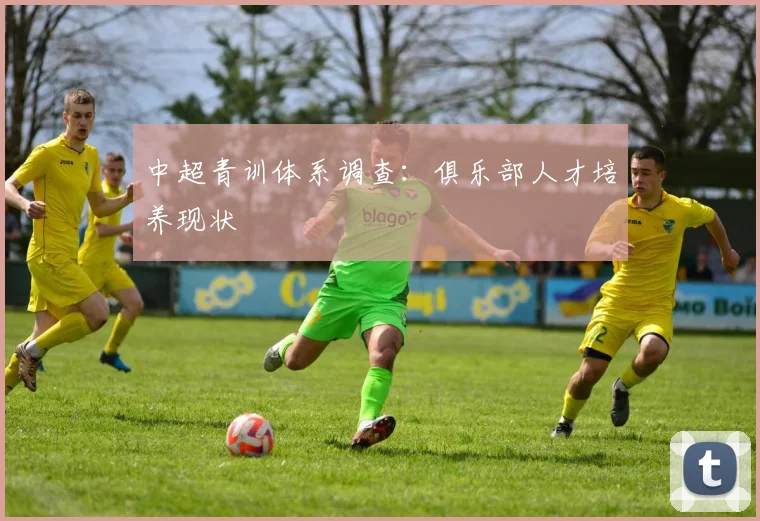 中超青训体系调查:俱乐部人才培养现状
