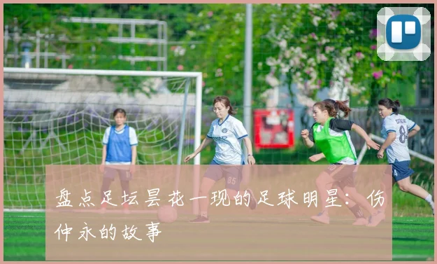 盘点足坛昙花一现的足球明星：伤仲永的故事